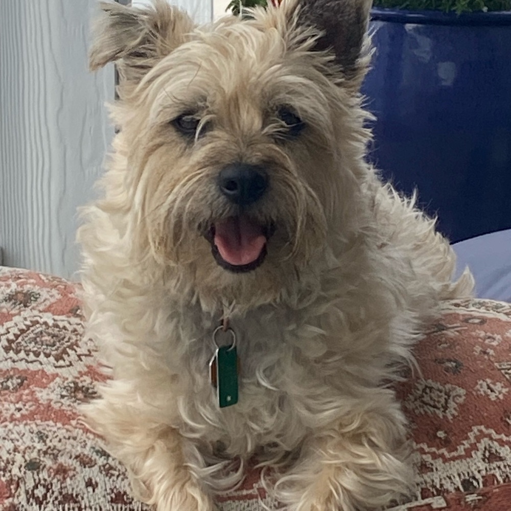 Message to followers.